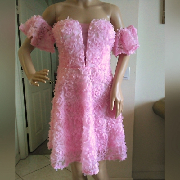 BNWOT DRESSY DRESS BY FAERIESTY SOFT PINK SZ. XL W/ 3D FLOWERS STRAPLESS LINED - Picture 1 of 11